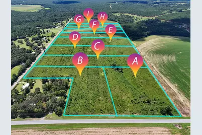 10 Acres G Davidson Road, Defuniak Springs, FL 32433 - Photo 2