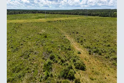 10 Acres G Davidson Road, Defuniak Springs, FL 32433 - Photo 12