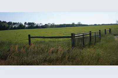 7784 Hwy 393, Laurel Hill, FL 32567 - Photo 2
