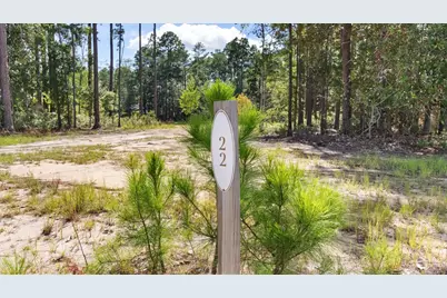 Lot 22 W Captain Fritz Way, Freeport, FL 32439 - Photo 1