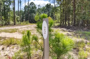 Lot 22 W Captain Fritz Way, Freeport, FL 32439 - Photo 1