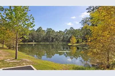 Lot 22 W Captain Fritz Way, Freeport, FL 32439 - Photo 10