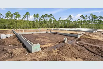 1094 Suwannee Drive #Lot 49, Watersound, FL 32461 - Photo 4
