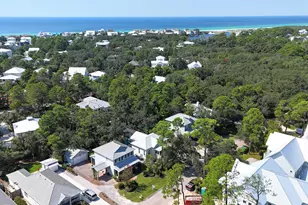 50 Spotted Dolphin Rd, Santa Rosa Beach, FL 32459 - Photo 40