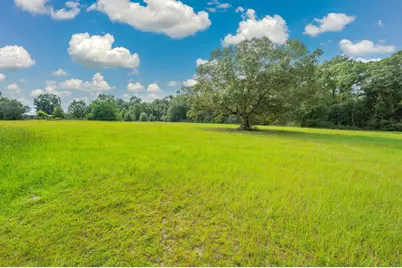 10406 Double R Ranch Road, Holt, FL 32564 - Photo 4