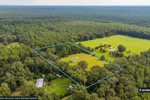 10406 Double R Ranch Rd, Holt, FL 32564 - Photo 32