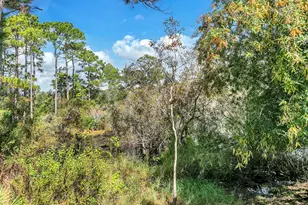 54 Nickajack S, Santa Rosa Beach, FL 32459 - Photo 60