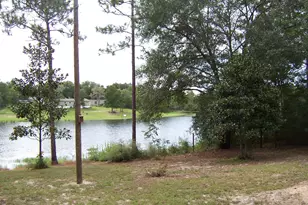 141 Silk Oak Dr, Defuniak Springs, FL 32433 - Photo 10