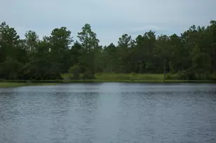 141 Silk Oak Dr, Defuniak Springs, FL 32433 - Photo 1