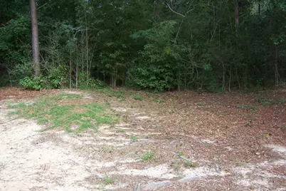 141 Silk Oak Drive, Defuniak Springs, FL 32433 - Photo 22
