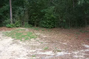 141 Silk Oak Dr, Defuniak Springs, FL 32433 - Photo 22