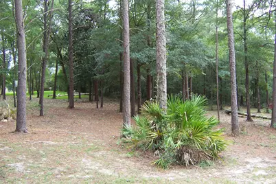 141 Silk Oak Drive, Defuniak Springs, FL 32433 - Photo 6