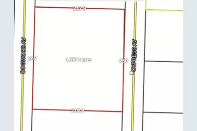 Tbd Dogwood Avenue, Vernon, FL 32462 - Photo 2