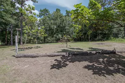 45 Acres John White Road, Defuniak Springs, FL 32435 - Photo 18