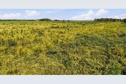 9.26Acre A Co Hwy 2A Road, Defuniak Springs, FL 32433 - Photo 6