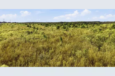 9.26Acre A Co Hwy 2A Road, Defuniak Springs, FL 32433 - Photo 8