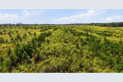 9.26Acre A Co Hwy 2A Road, Defuniak Springs, FL 32433 - Photo 12
