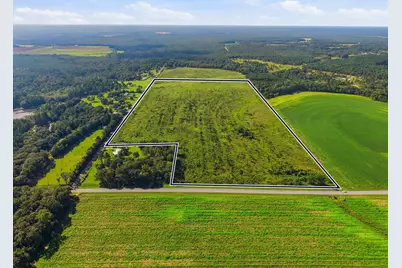 9.26Acre A Co Hwy 2A Road, Defuniak Springs, FL 32433 - Photo 14