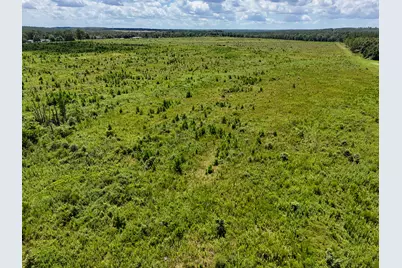 10 Acres B Co Hwy 2A Road, Defuniak Springs, FL 32433 - Photo 8