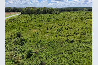 10 Acres B Co Hwy 2A Road, Defuniak Springs, FL 32433 - Photo 6