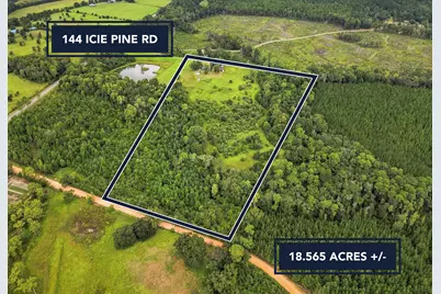 144 Icie Pine Rd Road, Westville, FL 32464 - Photo 4
