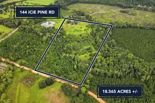 144 Icie Pine Rd Rd, Westville, FL 32464 - Photo 4