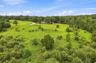 144 Icie Pine Rd Rd, Westville, FL 32464 - Photo 8