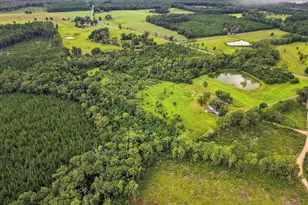 144 Icie Pine Rd Rd, Westville, FL 32464 - Photo 10