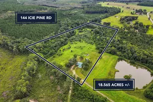 144 Icie Pine Rd Rd, Westville, FL 32464 - Photo 2