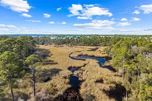 18 Lyonia Ln, Santa Rosa Beach, FL 32459 - Photo 42