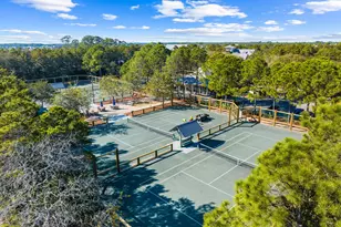 18 Lyonia Ln, Santa Rosa Beach, FL 32459 - Photo 46