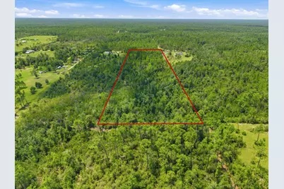 10952 Alex Drive, Fountain, FL 32438 - Photo 6