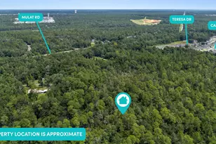 Lot 8 Fl-8, Milton, FL 32570 - Photo 1