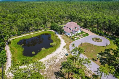 237 Royal Palm Boulevard, Santa Rosa Beach, FL 32459 - Photo 104