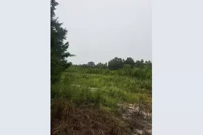 1950 Grady Baggett Road, Baker, FL 32531 - Photo 2