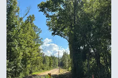 Tract#6421 Johnson Road, Caryville, FL 32425 - Photo 6