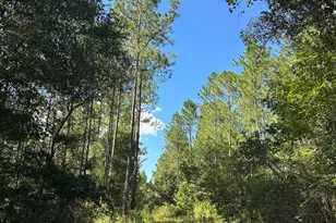 Tract#6421 Johnson Rd, Caryville, FL 32425 - Photo 1