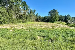 Tbd Vinson Ray Rd, Baker, FL 32531 - Photo 1