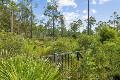 81 Anastasia Circle, Inlet Beach, FL 32461 - Photo 66