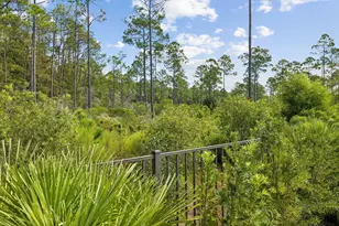 81 Anastasia Cir, Inlet Beach, FL 32461 - Photo 66