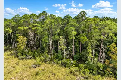 Tbd County Highway 83A, Freeport, FL 32439 - Photo 6