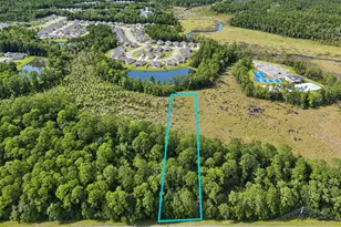 Tbd County Hwy 83A, Freeport, FL 32439 - Photo 1