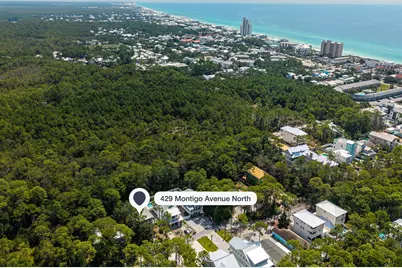 429 N Montigo Avenue, Santa Rosa Beach, FL 32459 - Photo 4