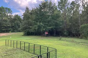 3066 Brandon Dunes Ln, Laurel Hill, FL 32567 - Photo 28