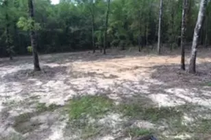 6206 Lake Ella Rd, Crestview, FL 32539 - Photo 8