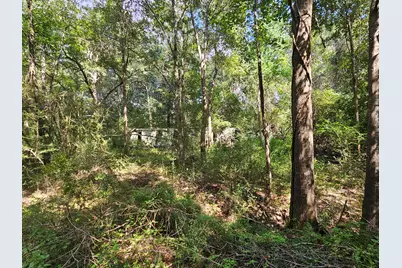 3853 Chicago Avenue, Laurel Hill, FL 32567 - Photo 10