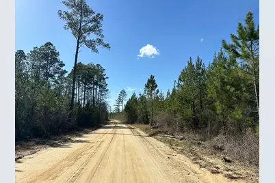 Tract#6317 N Harris Stevenson Road, Bonifay, FL 32425 - Photo 8