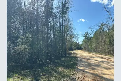 Tract#6317 N Harris Stevenson Road, Bonifay, FL 32425 - Photo 2