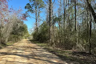 Tract#6317 N Harris Stevenson Rd, Bonifay, FL 32425 - Photo 1