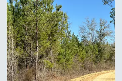 Tract#6317 N Harris Stevenson Road, Bonifay, FL 32425 - Photo 10